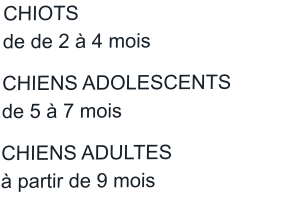 CHIOTS						de de 2 à 4 mois		   		  CHIENS ADOLESCENTS	de 5 à 7 mois		      		  CHIENS ADULTES			 à partir de 9 mois